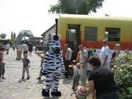 ÁPISZ zebra óriásbáb